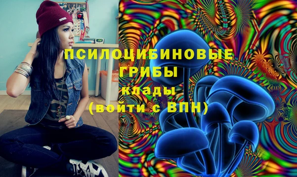 амф Мегион