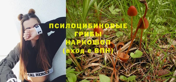 бошки Медвежьегорск
